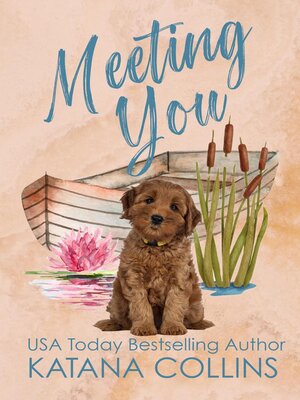 cover image of Meeting You
